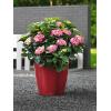 Lechuza Classico LS Red M 35x33 cm ronde rode bloempot