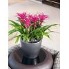 Lechuza Classico LS Silver M 35x33 cm ronde zilveren bloempot