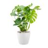 Lechuza Classico LS White M 35x33 cm ronde witte bloempot