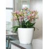 Lechuza Classico LS White M 35x33 cm ronde witte bloempot