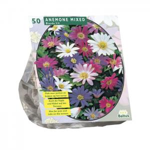 Baltus Anemone Blanda Mix bloembollen per 50 stuks