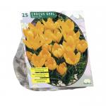 Baltus Crocus Grootbloemig Geel bloembollen per 25 stuks