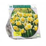 Baltus Narcis Golden Echo narcissen bloembollen per 20 stuks