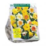 Baltus Narcis Trompet Mix narcissen bloembollen per 20 stuks