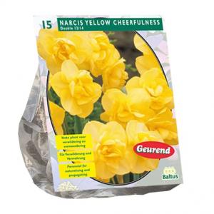 Baltus Narcis Yellow Cheerfulness narcissen bloembollen per 15 stuks