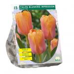 Baltus Tulipa Blushing Impression Darwin tulpen bloembollen per 15 stuks
