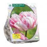 Baltus Tulipa Dubbel Laat Finola tulpen bloembollen per 15 stuks