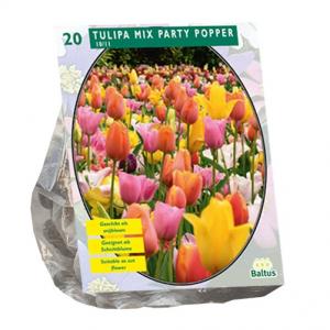 Baltus Tulipa Mix Party Popper tulpen bloembollen per 20 stuks
