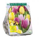 Baltus Tulipa Mix Tutti Frutti tulpen bloembollen per 18 stuks