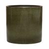 Plant in Pot Ficus Lyrata 125 cm kamerplant in Cylinder Green 30 cm bloempot