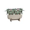 Plant in Pot Alocasia Polly 60 cm kamerplant in Cement With Feet Beige Washed 75x24 cm bloempot