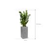 Plant in Pot Zamioculcas Zamiifolia 135 cm kamerplant in Fiberstone Grey 30x30 bloempot