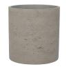 Plant in Pot Ficus Elastica Abidjan 90 cm kamerplant in Rough Grey Washed 25 cm bloempot