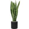 Plant in Pot Sansevieria Zeylanica 95 cm kamerplant in Rough Black Washed 25 cm bloempot