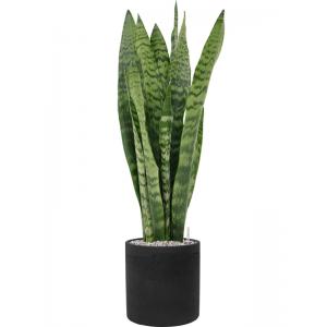 Plant in Pot Sansevieria Zeylanica 95 cm kamerplant in Rough Black Washed 25 cm bloempot