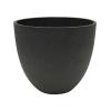 Plant in Pot Philodendron Narrow 65 cm kamerplant in Rough Black Washed 32 cm bloempot