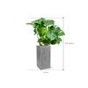 Plant in Pot Monstera Deliciosa 130 cm kamerplant in Fiberstone Grey 30x30 cm bloempot