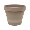 Plant in Pot Sansevieria Zeylanica 70 cm kamerplant in Terra Cotta Grijs 24 cm bloempot