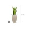 Plant in Pot Sansevieria Zeylanica 110 cm kamerplant in Baq Raindrop 37 cm bloempot