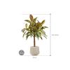 Plant in Pot Ficus Elastica Melany 115 cm kamerplant in Baq Raindrop 30 cm bloempot