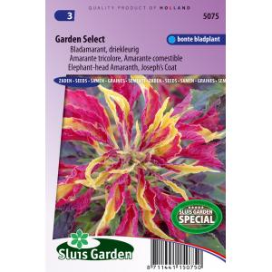 Bladamarant driekleurig bloemzaden - Garden Select