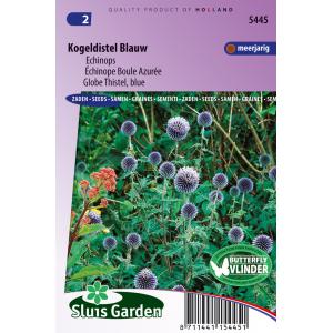 Echinops bloemzaden - Kogeldistel blauw