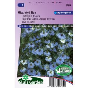 Juffertje in ’t Groen bloemzaden – Miss Jekyll Blue