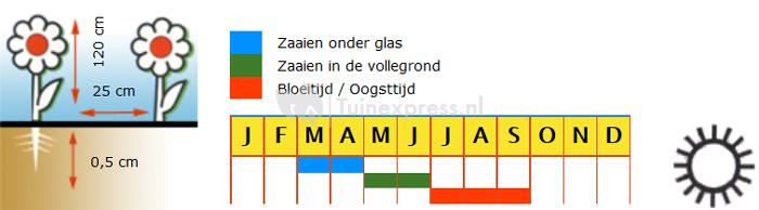 Riddersporen hoog dubbelbloemig bloemzaden - Imperial mixed