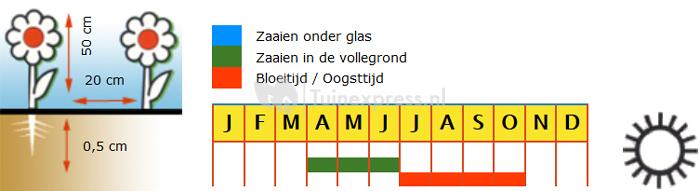 Special mix bloemzaden – Vlinderbloemenmengsel