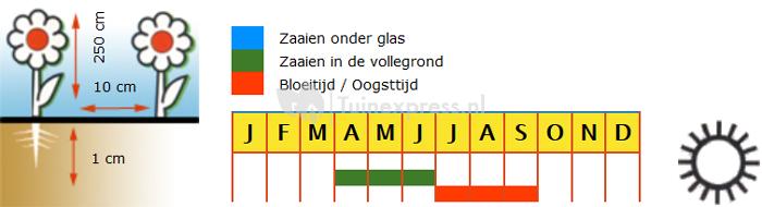 Welriekende pronkerwt bloemzaden – Reukerwt Ripple Mix