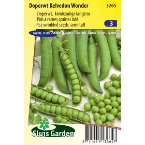 Sluis Garden Doperwt (kreukzadig) zaden - Kelvedon Wonder