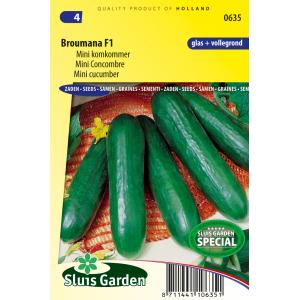 Komkommer (mini) zaden - Broumana F1