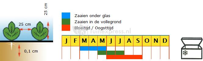 Wintertijm biologische zaden