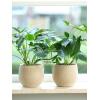 Planter Ryan Shiny Sand 33 cm ovale bloempot binnen ovaal