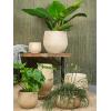 Planter Ryan Shiny Sand 33 cm ovale bloempot binnen ovaal