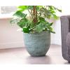 Pot evi antiq bronze bloempot binnen 15 cm