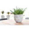 Lage planter Karlijn earth bloempot binnen 29 cm ovaal