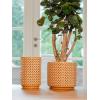 Hoge Pot Thies Mustard gele ronde bloempot voor binnen 14 cm